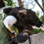 Jungle Park: 12 / 12