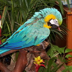 Loro Parque: 4 / 12