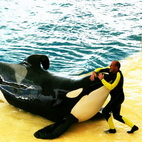 Loro Parque: 9 / 12